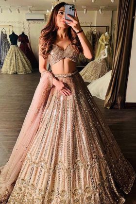 Diwali Special Light Brown Paper Mirror Work Lehenga Choli