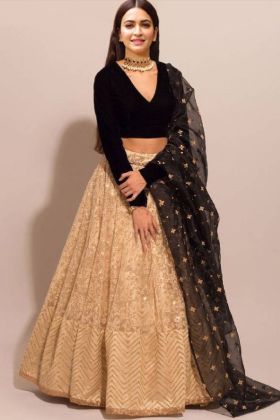 Golden Embroidery Work Net Lehenga Choli