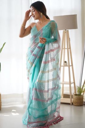 Sky Blue Butterfly Net Sequence Work Saree