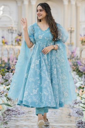 Sky Blue Organza Silk Thread Work Gown